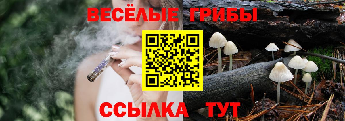 Псилоцибиновые грибы Magic Shrooms Саров